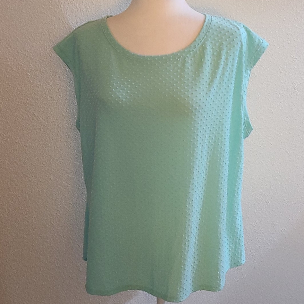 Elle Mint Dotted Swiss-like Top